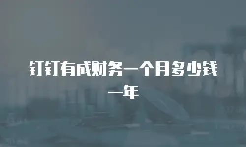 钉钉有成财务一个月多少钱一年
