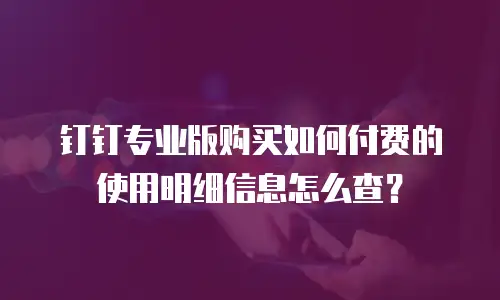 钉钉专业版购买如何付费的使用明细信息怎么查？