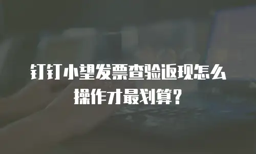 钉钉小望发票查验返现怎么操作才最划算？
