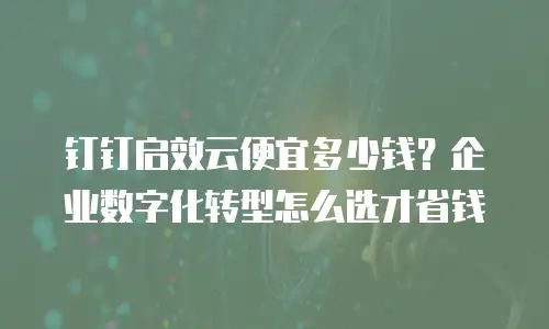 钉钉启效云便宜多少钱？企业数字化转型怎么选才省钱