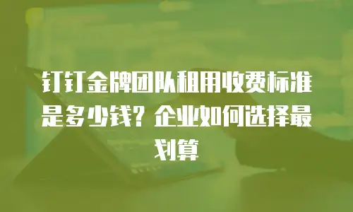 钉钉金牌团队租用收费标准是多少钱？企业如何选择最划算