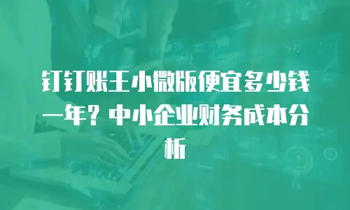 钉钉账王小微版便宜多少钱一年？中小企业财务成本分析