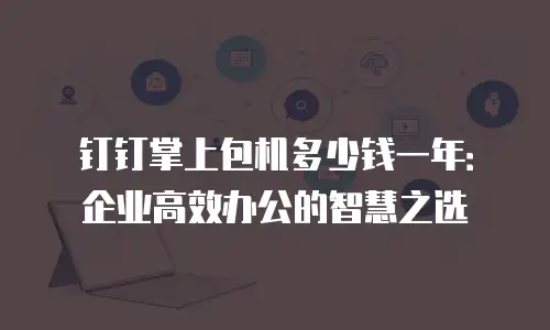 钉钉掌上包机多少钱一年：企业高效办公的智慧之选