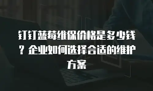 钉钉蓝莓维保价格是多少钱？企业如何选择合适的维护方案