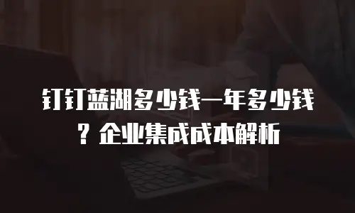 钉钉蓝湖多少钱一年多少钱？企业集成成本解析