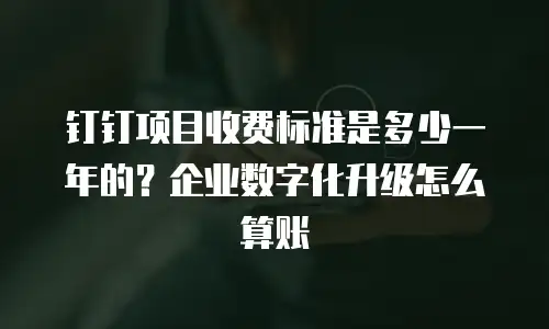 钉钉项目收费标准是多少一年的？企业数字化升级怎么算账