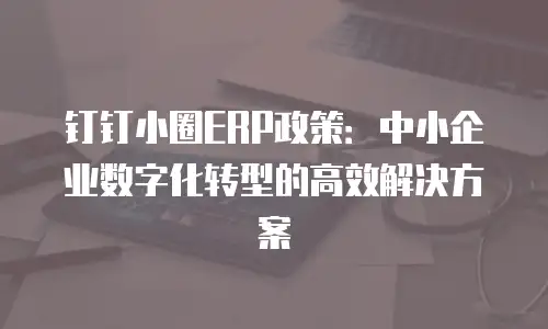 钉钉小圈ERP政策：中小企业数字化转型的高效解决方案