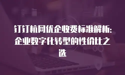 钉钉杭网优企收费标准解析：企业数字化转型的性价比之选