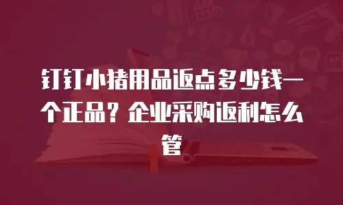 钉钉小猪用品返点多少钱一个正品？企业采购返利怎么管