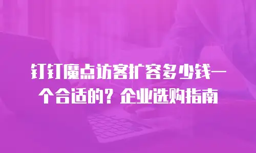 钉钉魔点访客扩容多少钱一个合适的？企业选购指南