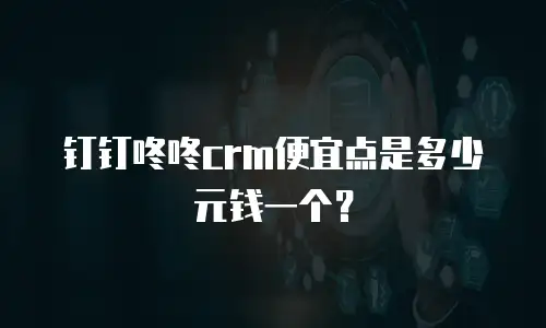 钉钉咚咚crm便宜点是多少元钱一个？