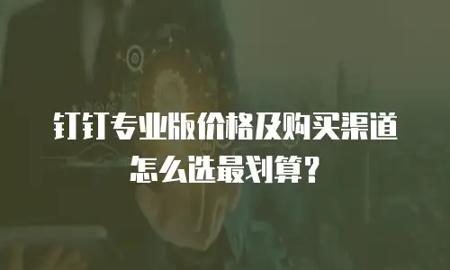 钉钉专业版价格及购买渠道怎么选最划算？