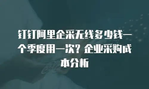 钉钉阿里企采无线多少钱一个季度用一次？企业采购成本分析