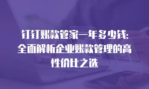 钉钉账款管家一年多少钱：全面解析企业账款管理的高性价比之选
