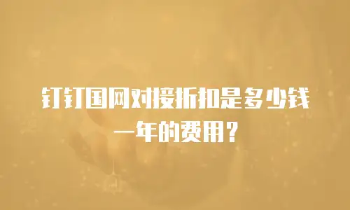 钉钉国网对接折扣是多少钱一年的费用？