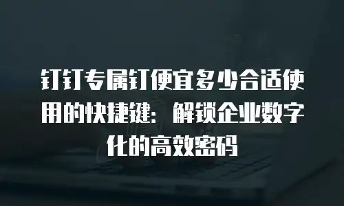 钉钉专属钉便宜多少合适使用的快捷键：解锁企业数字化的高效密码