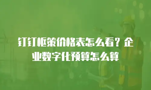 钉钉枢策价格表怎么看？企业数字化预算怎么算