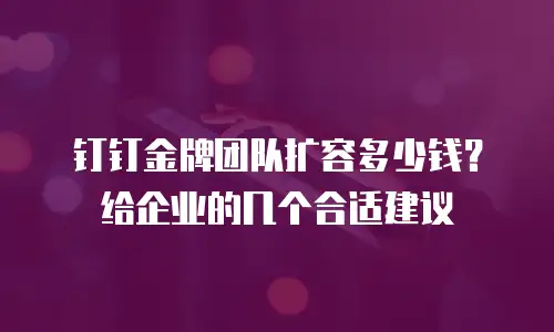 钉钉金牌团队扩容多少钱？给企业的几个合适建议