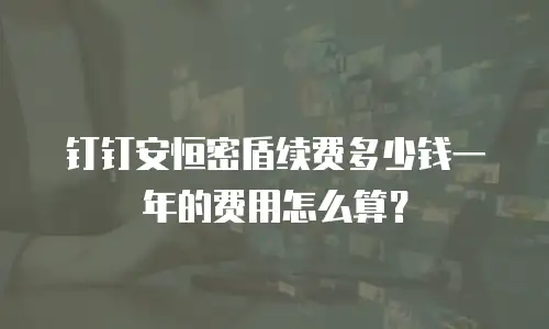 钉钉安恒密盾续费多少钱一年的费用怎么算？