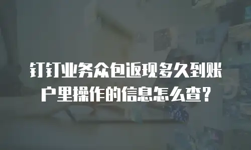 钉钉业务众包返现多久到账户里操作的信息怎么查？