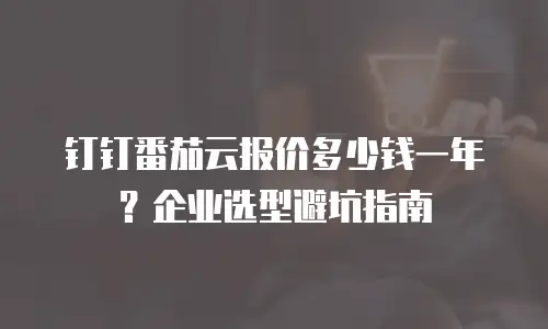 钉钉番茄云报价多少钱一年？企业选型避坑指南