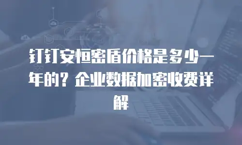 钉钉安恒密盾价格是多少一年的？企业数据加密收费详解