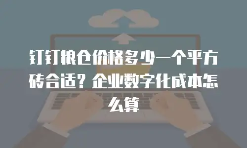 钉钉粮仓价格多少一个平方砖合适？企业数字化成本怎么算