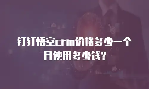 钉钉悟空crm价格多少一个月使用多少钱？