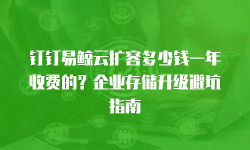 钉钉易鲸云扩容多少钱一年收费的？企业存储升级避坑指南