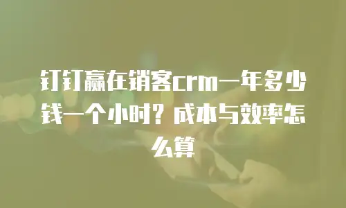 钉钉赢在销客crm一年多少钱一个小时？成本与效率怎么算