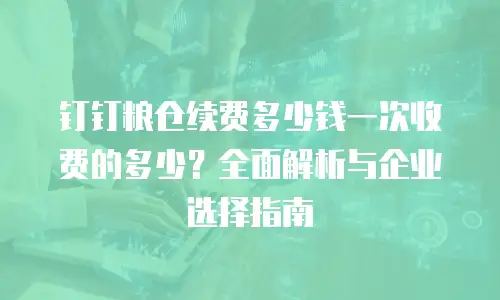 钉钉粮仓续费多少钱一次收费的多少？全面解析与企业选择指南