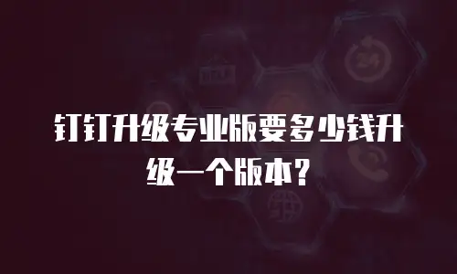 钉钉升级专业版要多少钱升级一个版本？