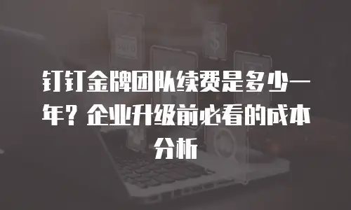 钉钉金牌团队续费是多少一年？企业升级前必看的成本分析