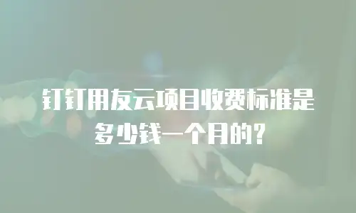 钉钉用友云项目收费标准是多少钱一个月的？