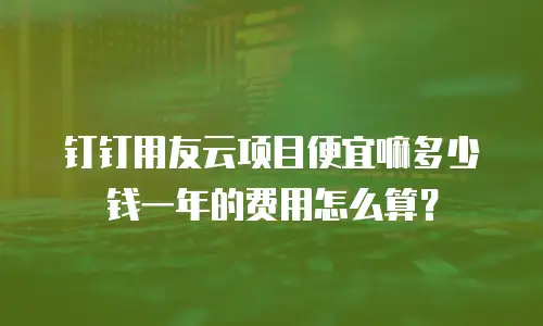 钉钉用友云项目便宜嘛多少钱一年的费用怎么算？