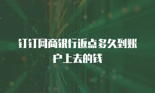 钉钉网商银行返点多久到账户上去的钱