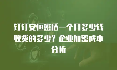 钉钉安恒密盾一个月多少钱收费的多少？企业加密成本分析