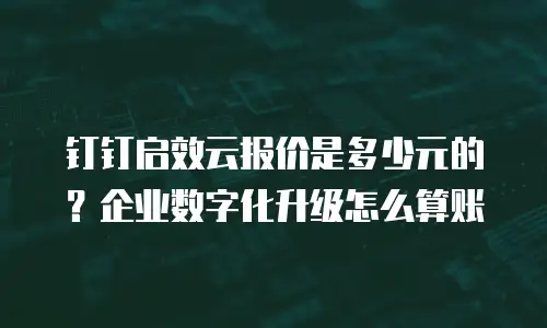 钉钉启效云报价是多少元的？企业数字化升级怎么算账