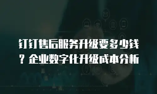 钉钉售后服务升级要多少钱？企业数字化升级成本分析