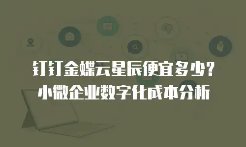 钉钉金蝶云星辰便宜多少？小微企业数字化成本分析