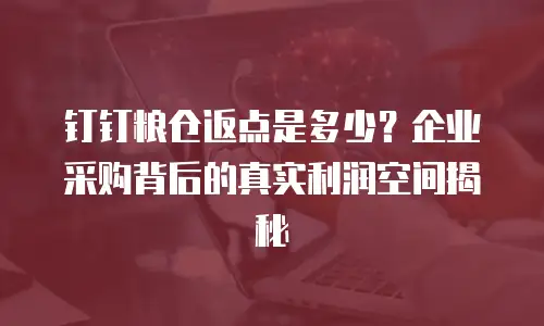 钉钉粮仓返点是多少？企业采购背后的真实利润空间揭秘