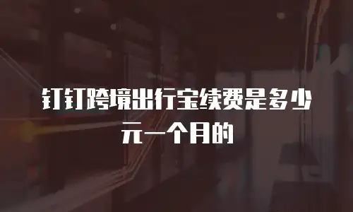 钉钉跨境出行宝续费是多少元一个月的