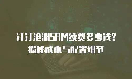 钉钉沧渊SRM续费多少钱？揭秘成本与配置细节