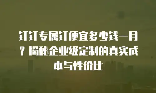 钉钉专属钉便宜多少钱一月？揭秘企业级定制的真实成本与性价比