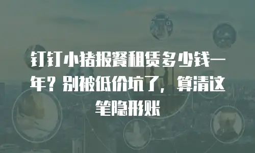 钉钉小猪报餐租赁多少钱一年？别被低价坑了，算清这笔隐形账
