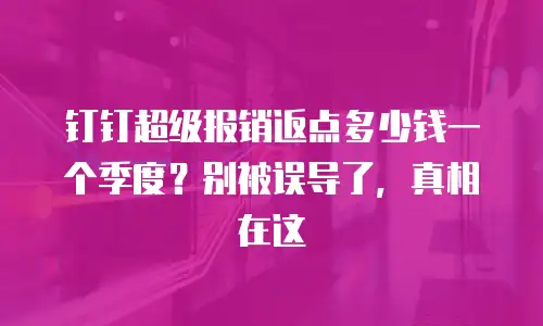 钉钉超级报销返点多少钱一个季度？别被误导了，真相在这