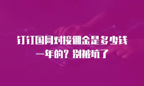 钉钉国网对接佣金是多少钱一年的？别被坑了