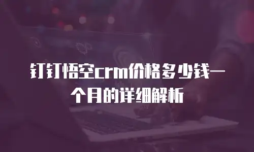 钉钉悟空crm价格多少钱一个月的详细解析