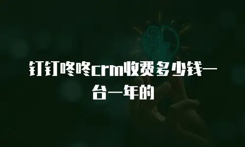 钉钉咚咚crm收费多少钱一台一年的