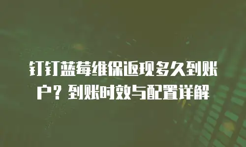 钉钉蓝莓维保返现多久到账户？到账时效与配置详解
